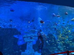 -横店影视城梦幻谷园区