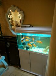 android_upload_pic-构想时尚发型会所