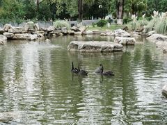 -西昌邛海宾馆