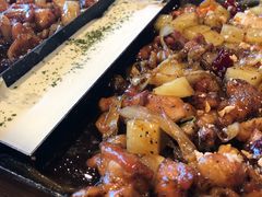 -DM CHICKEN 分米鸡