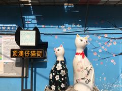 -猫咪博物馆(顶澳仔猫街店)