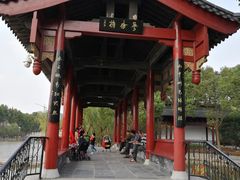 -南汇桃花村