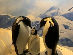 -上海海洋水族馆