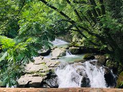 -溪口-滕头旅游景区