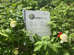 -太阳宫公园
