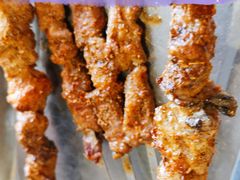 红柳枝烤肉-东方宫兰州牛肉拉面(北京东大街店)