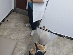 -美联众合动物医院·24h转诊中心