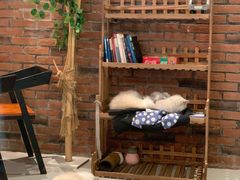 -豆逗聊愈猫阁Easy Life