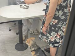 -诺比宠物医院心脏内科·泌尿肾内外科·骨科急重症