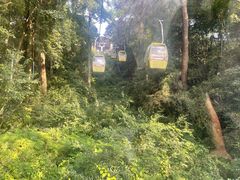 -黔灵山公园