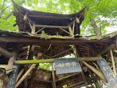 -青城山