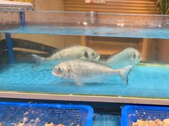 -盛宴自助餐厅(运达喜来登店)