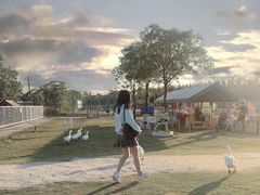 -上海长兴岛郊野公园