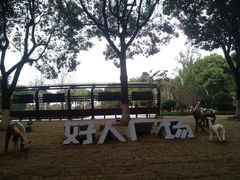 -昆山城市生态森林公园