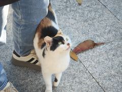 -方山风景区定林寺