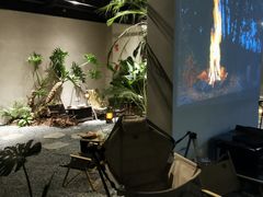 -J Create城市露营咖啡·简餐·宠物(上海动物园店)