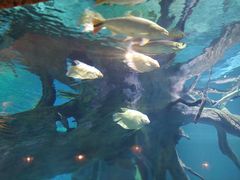 -华夏文旅西安度假区