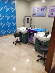 -碧莲盛·不剃发植发