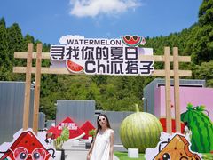 -玉苍山国家森林公园
