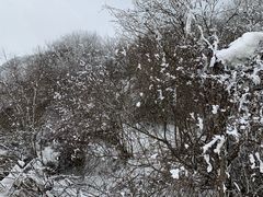 -太子岭滑雪场