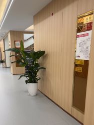 -上海伊莱美医疗美容医院