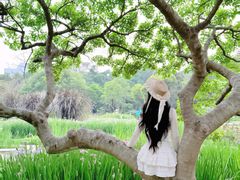 -广西壮族自治区药用植物园