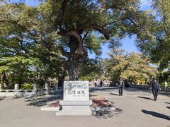 -北陵公园