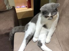-猫和宫(六道口店)
