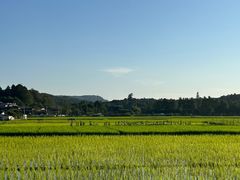 -和顺古镇