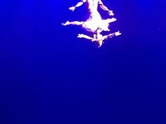 -珠海横琴长隆《卡卡虎奇遇记》