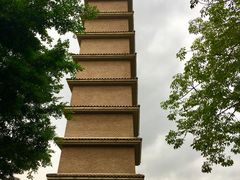 -平安（深圳）金融教育培训中心