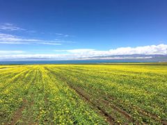 -青海湖国家重点风景名胜区
