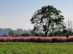 -汉长安城未央宫国家考古遗址公园