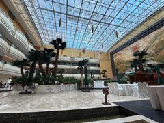 -铂丽斯国际大酒店-凯悦自助餐厅