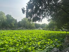 -莲池书院博物馆