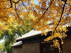 -晋祠公园