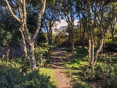 -梧桐山风景名胜区