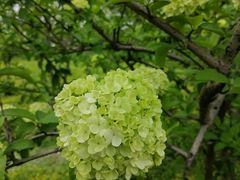 -蜀冈西峰生态公园