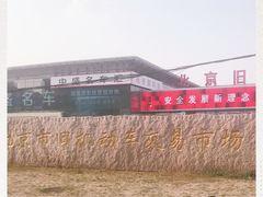 -北京市旧机动车交易市场
