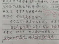 -赵汝飞练字硬笔书法(博泰国际校区)