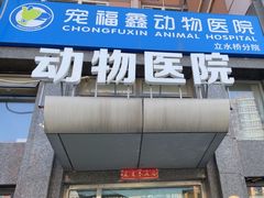 -宠福鑫动物医院(立水桥分院)