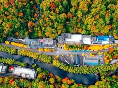 -洛阳白云山景区