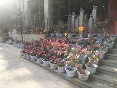 -天怡·鱼工厂(梅溪湖店)