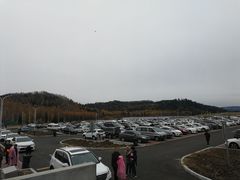 -五营红松林海景区