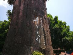 -青青世界