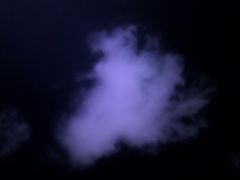 -星光岛
