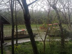 -溱湖国家湿地公园