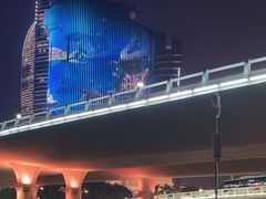 -演武大桥观景平台
