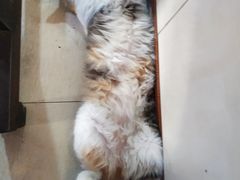 包房-富记鱼蛋粉(西村店)