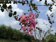-昆山城市生态森林公园